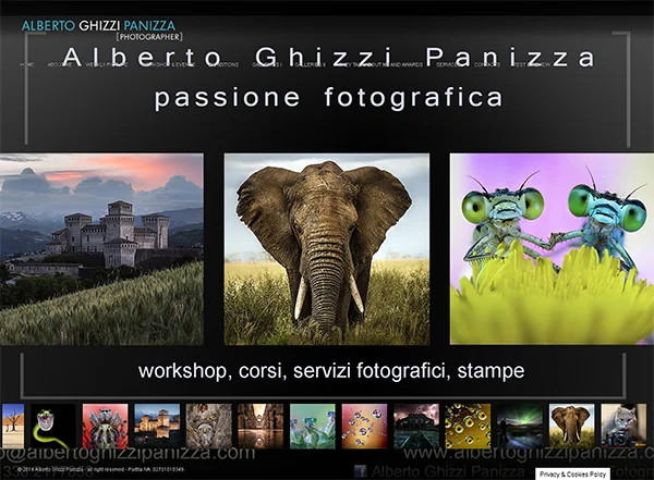 Sito web del fotografo Alberto Ghizzi Panizza prima dell'intervento di Den Design • Design per distinguerti